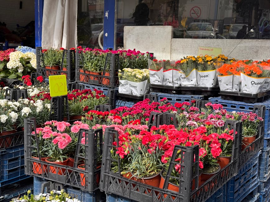 A display of fresh flower potted carnations in shades of pink, red, white, orange, and yellow arranged in black plastic crates outside a florist shop. The flowers have lush, vibrant petals and healthy