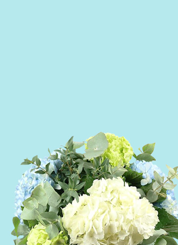 Same day Flowers Streatham